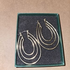 Elegant Gold Hoop Earrings